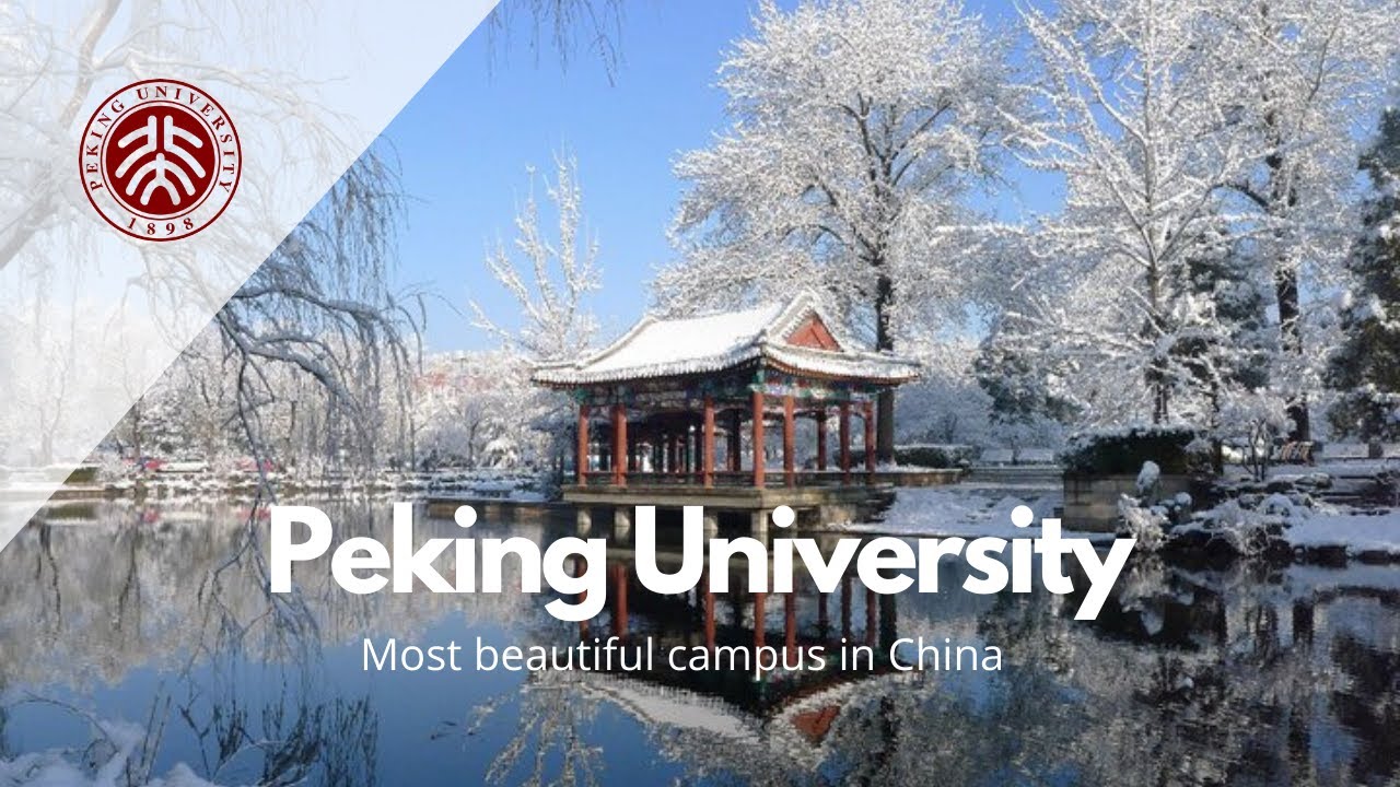 peking university Scholarship